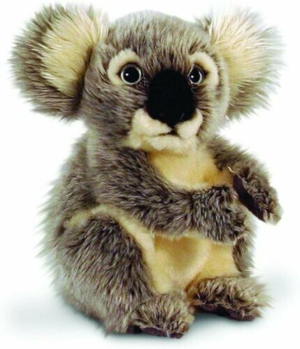 Koala bear plush toy grey - koala,