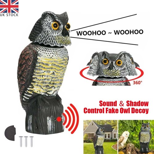 Large realistic owl decoy - large,