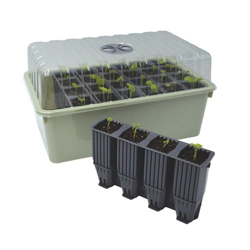 Garland cell seed - 28, tray