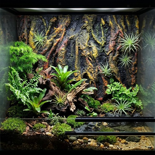 Rock aquarium background - rock,