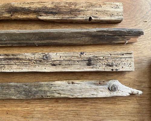 Long driftwood pieces sea - long,