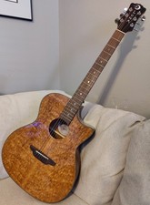 Luna Gypsy Eucalyptus Grand