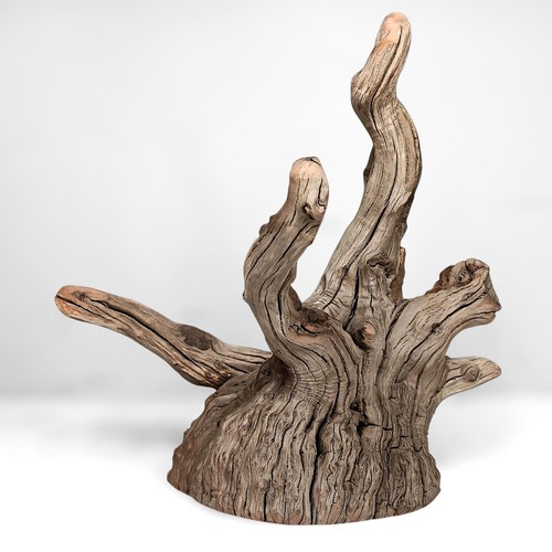 Manzanita driftwood tree - driftwood,