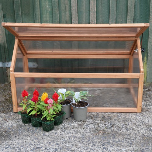 Wooden cold frame - cold, greenhouse