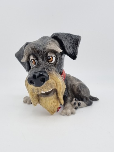 Little paws dog - little,