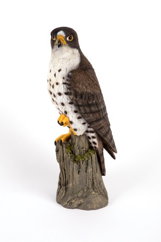 Garden creations peregrine - creations,