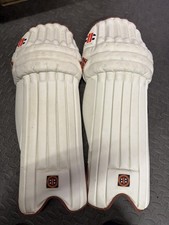 Gray Nicolls Gladius  cricket