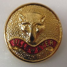 ULLSWATER HUNT FOXHOUNDS