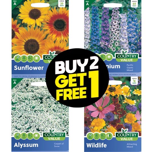 Flower seeds zinnia foxglove - flower,