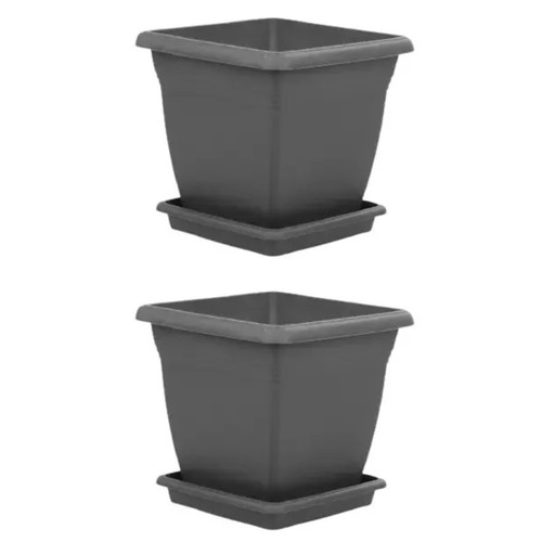 Pack extra large - of,
