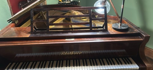 Bluthner grand piano - bluthner,