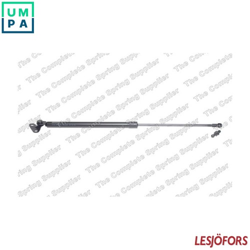 Gas spring bootcargo area - gas,