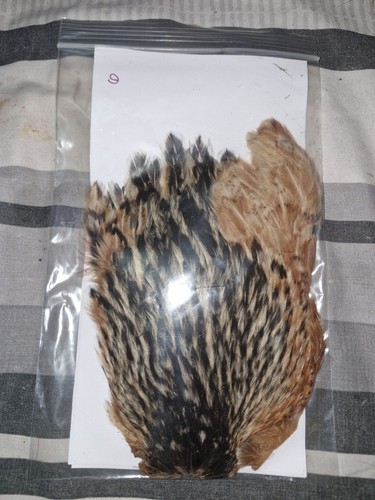Hen cape fly - hen, tying