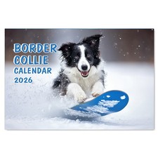 A4 2026 Border Collie Calendar