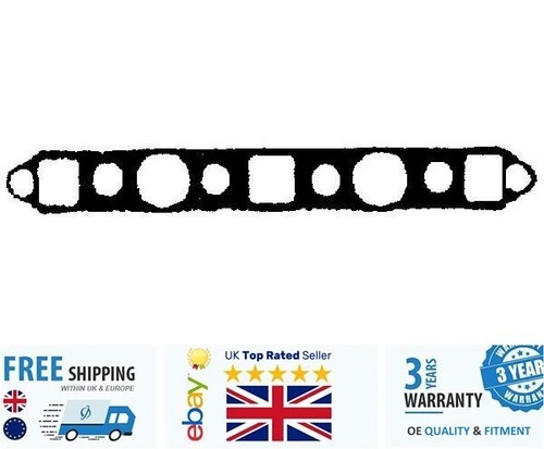 Intake exhaust manifold gasket - intake,