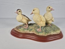 Birds By Russell Willis A0127