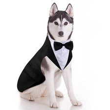 Dog Tuxedo and Bandana Set