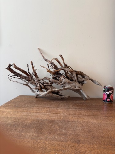 Driftwood piece silver root - driftwood,