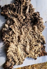 Raw Shearling Shetland Fleece