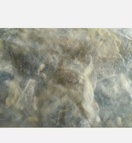 Woolcool pioneers 100 pure - woolcool,
