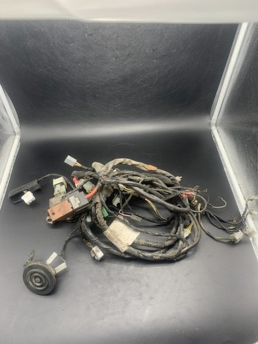 Wiring harness main - ,