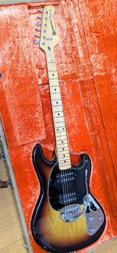 Ernie ball music - ernie, sting