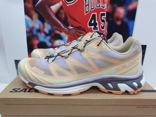 Salomon lab skyline - 6, s-lab