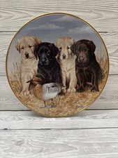 Labrador dog Porcelain plate