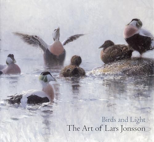 Birds and light the - light:, art
