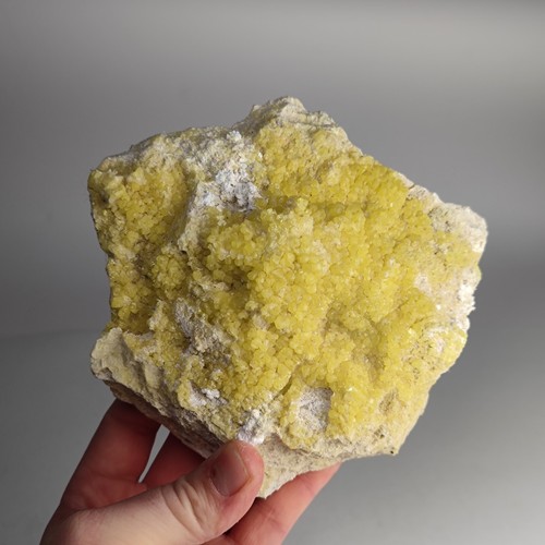Sulfur level machow - machow, /