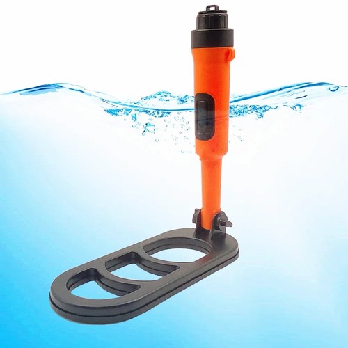 2022 underwater dive - 2022,