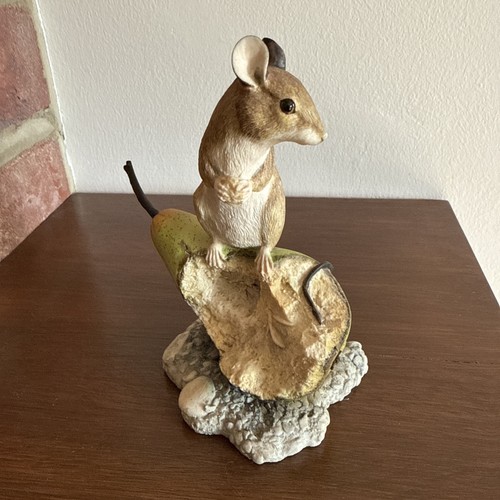 Border fine arts - border,