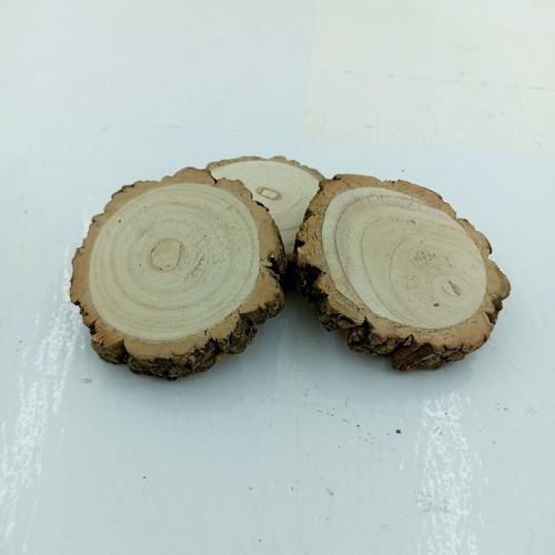 Natural wood log slice - natural,