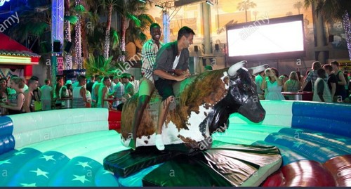 Rodeo bull ride - hire, bucking