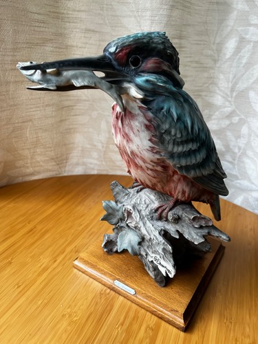 Giuseppe armani kingfisher - giuseppe, 'kingfisher