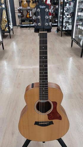 Taylor mini electric - taylor,