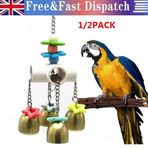 Bird cage biting - biting, for