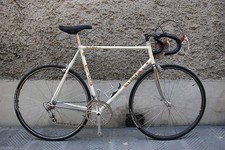 viner stella campagnolo super