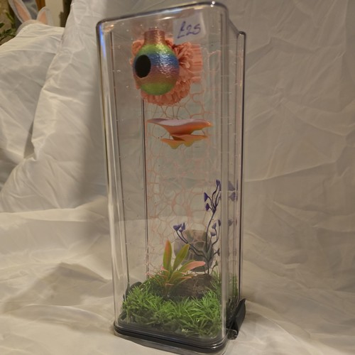 Jumping spider enclosure - jumping,