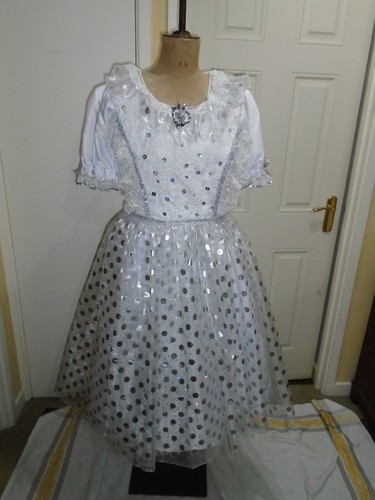 Fairy costume pantomime - , silver