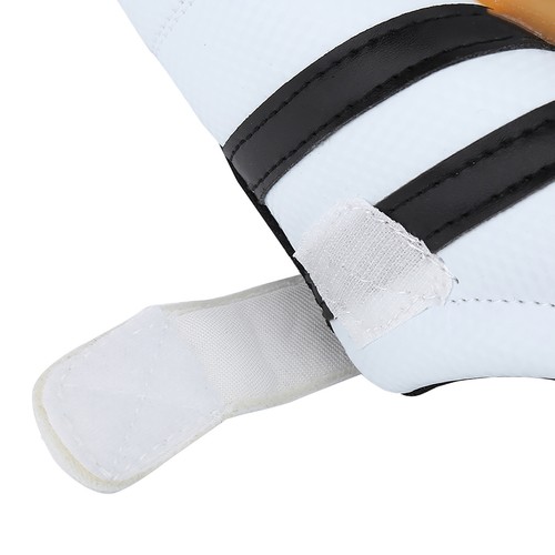 Taekwondo sport boxing - taekwondo,