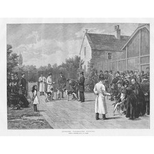 HUNTING Judging Foxhound