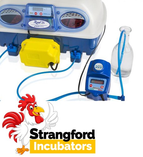 Borotto egg incubators - borotto,