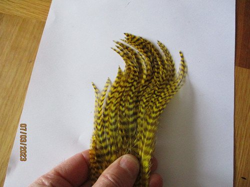 Woolly bugger hackle - bugger,