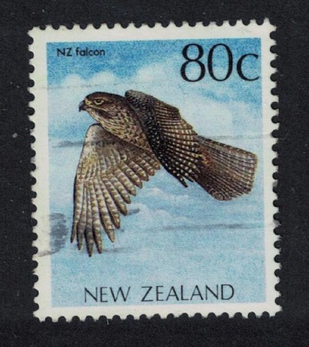 Falcon bird new - bird, zealand