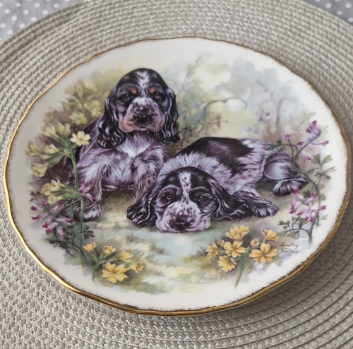 Royal vale bone china - vale,