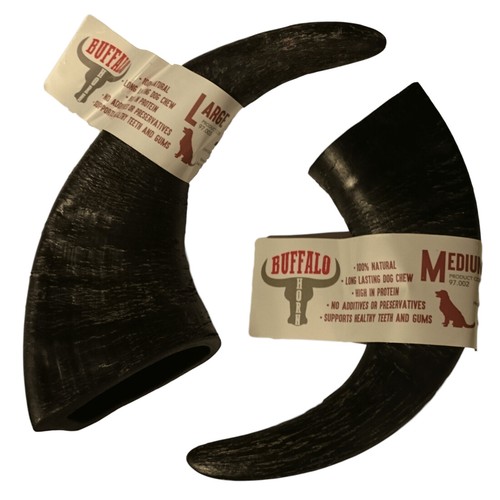 Buffalo horn treats nova dog - horn,