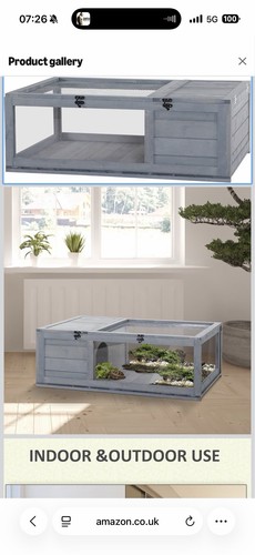Tortoise house - tortoise,
