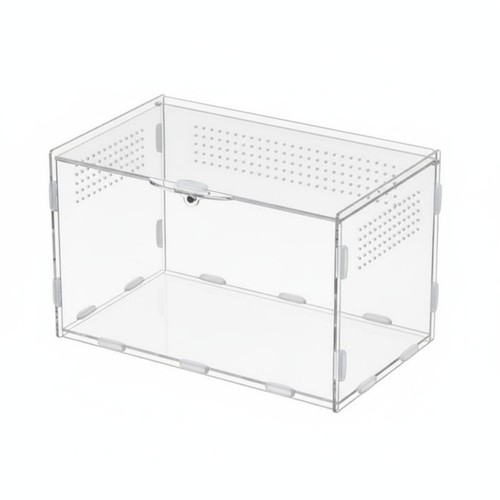 Acrylic amphibian box - amphibian,