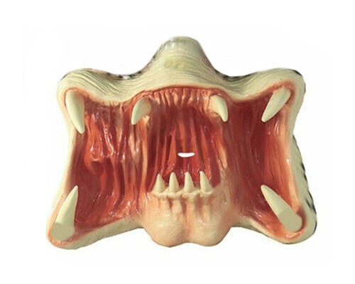 Adult alien predator mask - predator, half